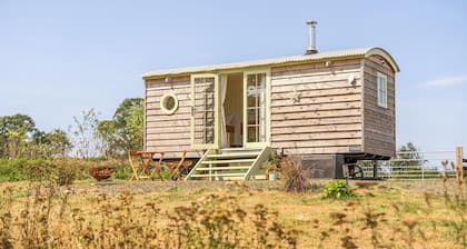 Cosy Luxury Owls Roost Hut With Private Hot Tub
