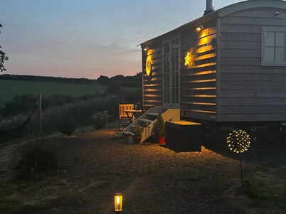 Cosy Luxury Foxglove Hut With Private Fire Bowl