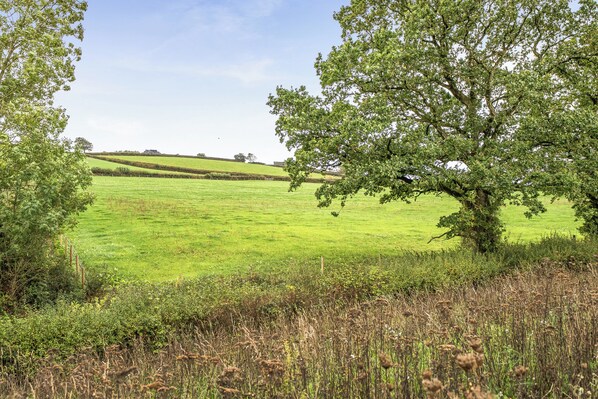 A rural landscape with a large tree in the foreground, a green field, and rolling hills in the distance. - Cosy Luxury Foxglove Hut With Private Fire Bowl (Umberleigh)