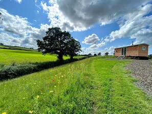 Cabin | Property grounds - Cosy Devon Retreat Woodland Views (Umberleigh)
