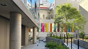 Une cour avec un arbre, des plantes en pot et un escalier.