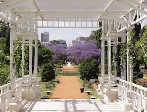 Stroll through a serene garden pathway surrounded by lush greenery and flowering trees, leading to a central fountain.