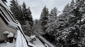 A snow-covered landscape with a building's roof and a pathway leading through a forest. - Wuthering Heights Apartment, lovely apartment at the foot of the ski slopes (Angolo Terme)