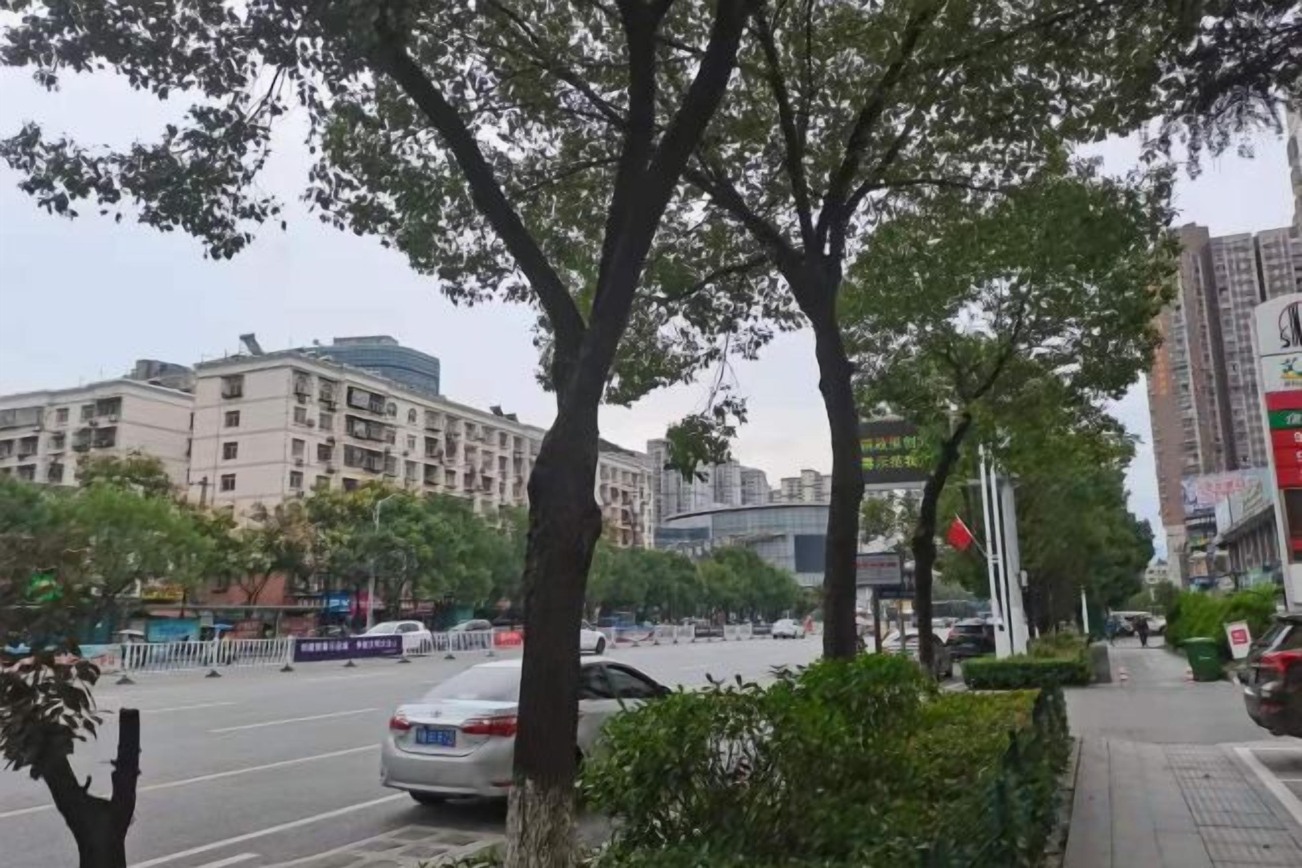 Une vue de rue avec des arbres, un immeuble à plusieurs étages et une voiture.