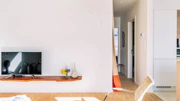 Flat-screen TV