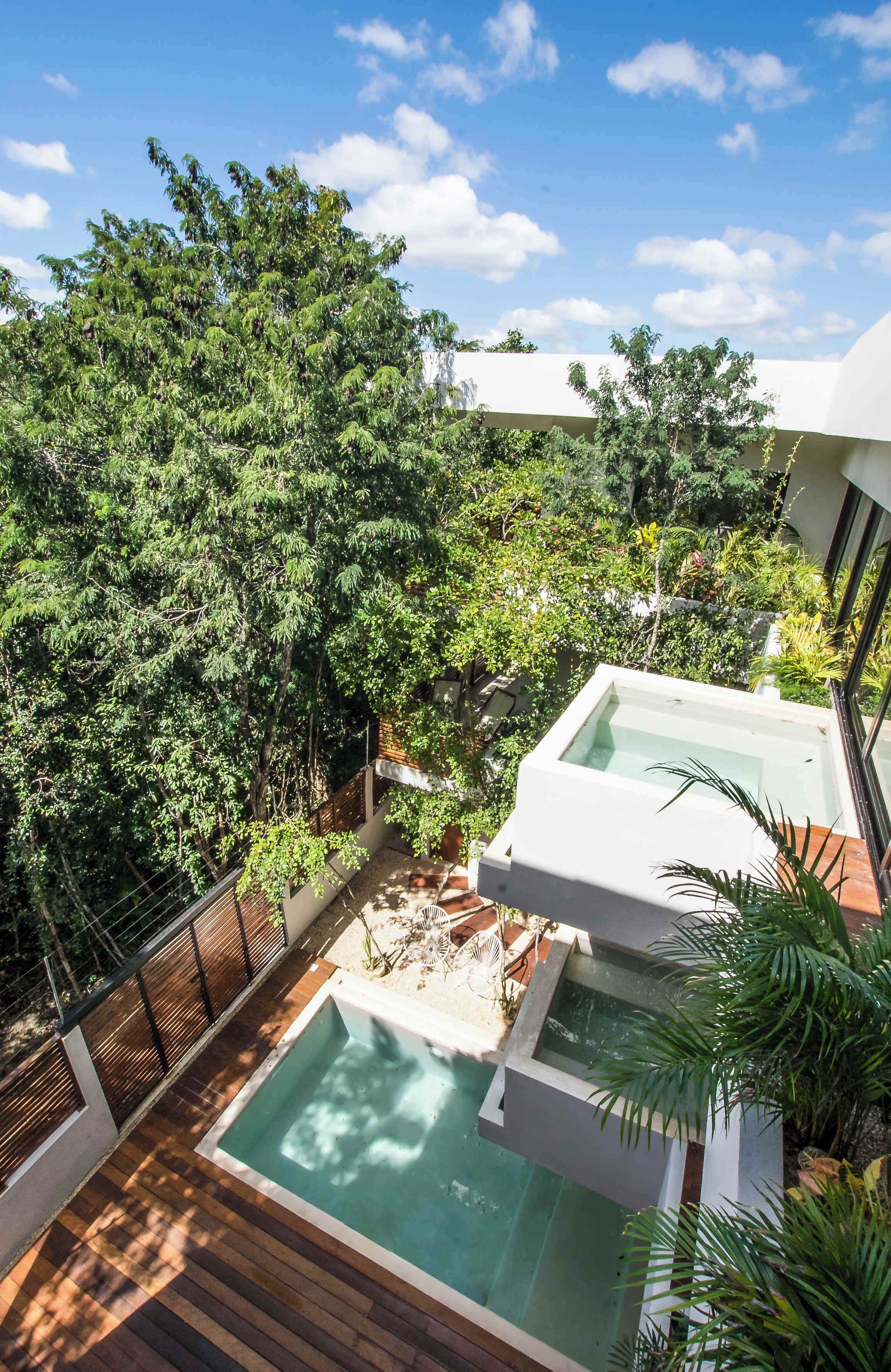 A rooftop pool surrounded by lush greenery, with a clear blue sky above.
