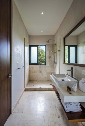 Shower, hair dryer, towels