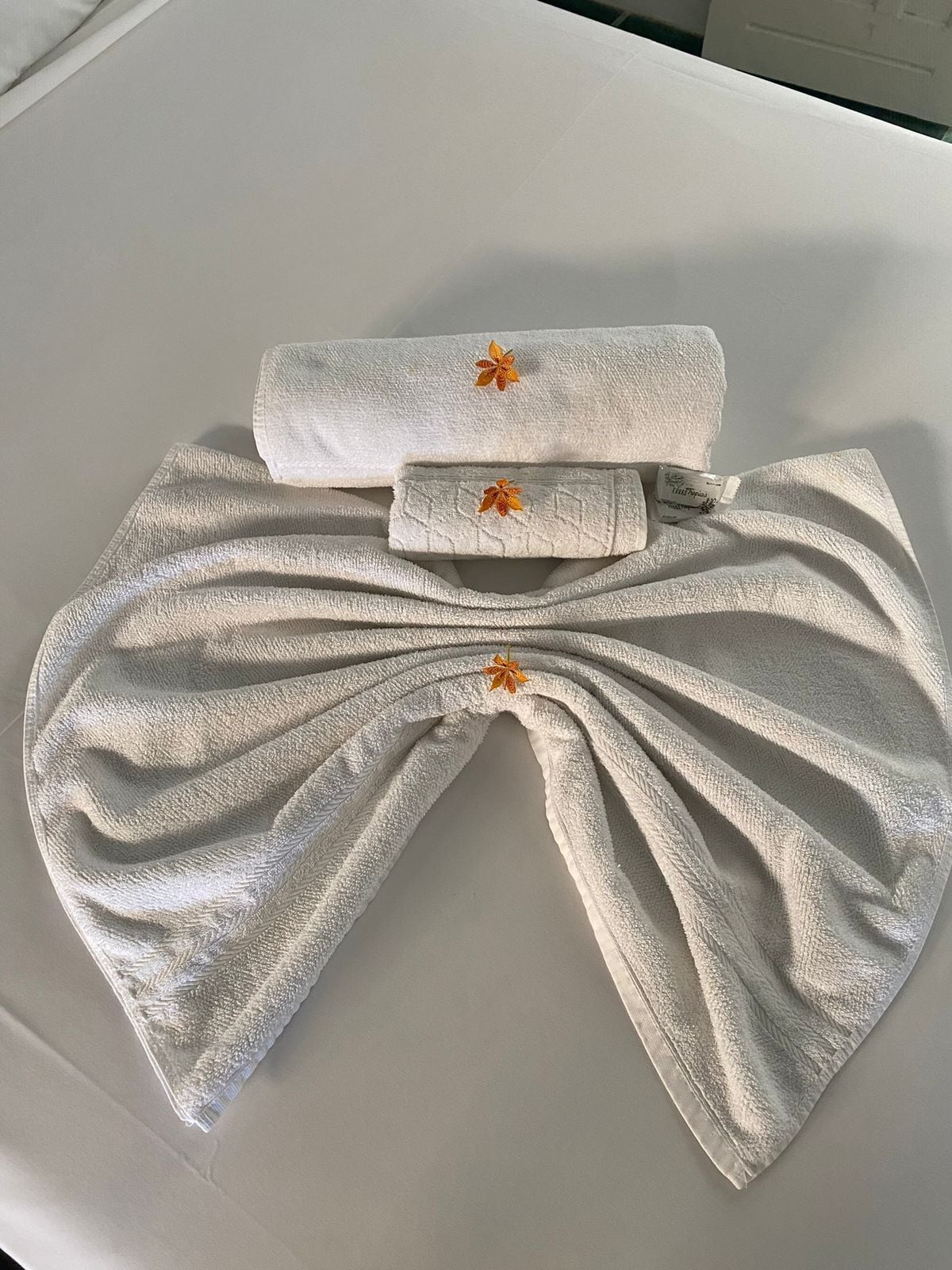 Photo - Quintal da Praia