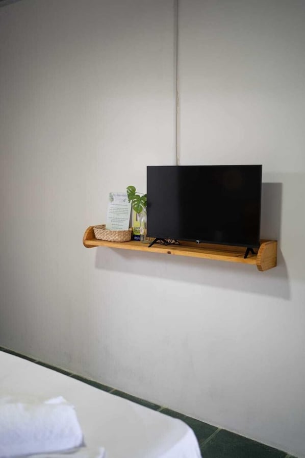 Ein Flachbildfernseher an einer Holzwandablage, neben ihm eine Pflanze und ein Broschüre.
