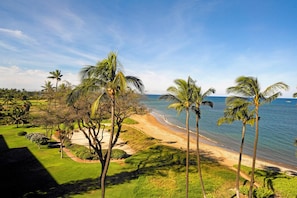 Appart'hĂŽtel, plusieurs lits (Menehune Shores 403) | Plage