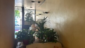 Eine Hotelhalle mit einer Couch, Topfpflanzen und Blick auf die Straße.