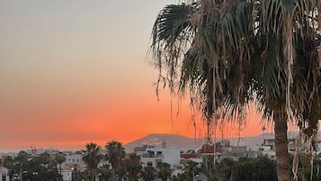 A pool surrounded by palm trees and a view of a cityscape at sunset.