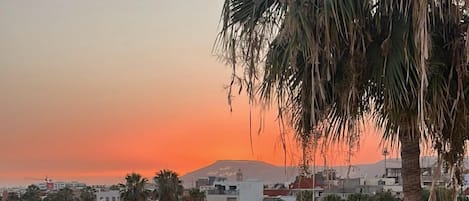 A pool surrounded by palm trees and a view of a cityscape at sunset.