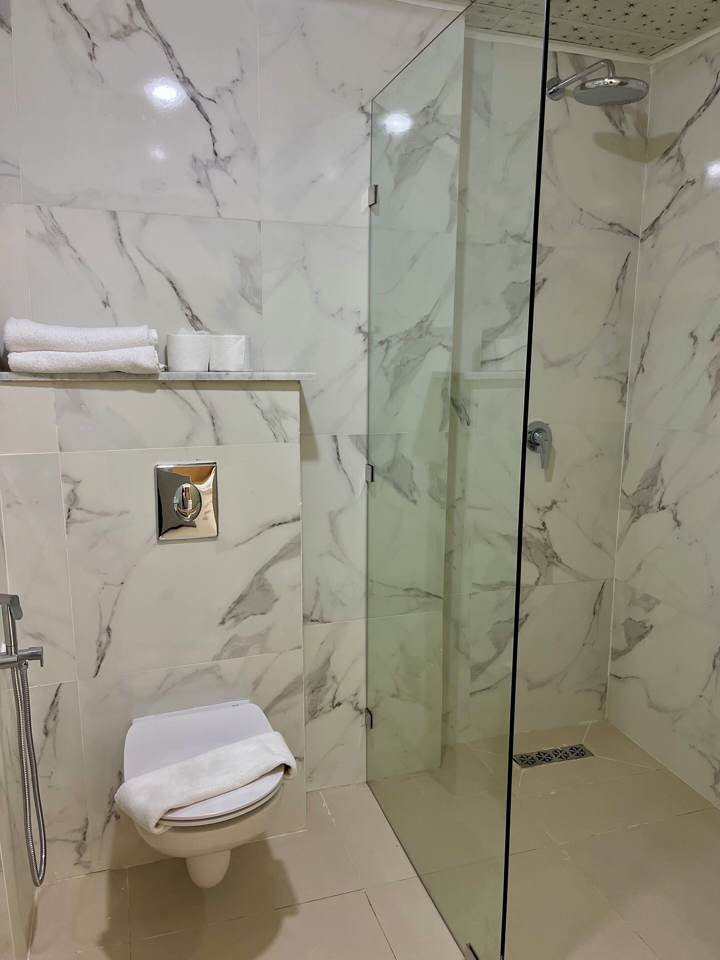 Serviettes fournies, savon, shampooing, papier de toilette