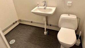 Une petite salle de bain avec un lavabo blanc, des toilettes et une pomme de douche.