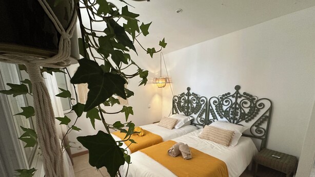 Una habitació amb dos llits, una planta penjant, una làmpada de nit i una taula petita.
