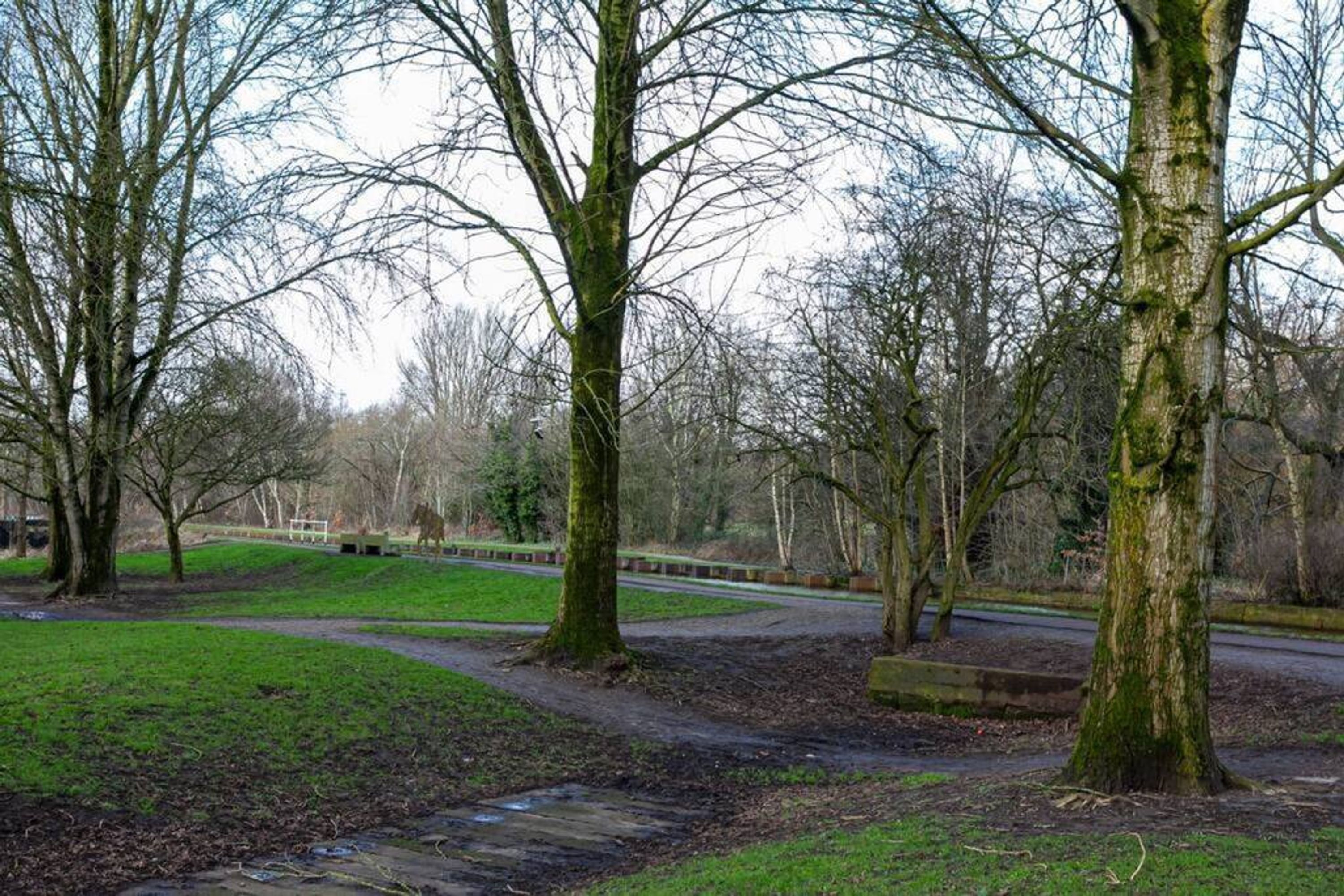 A park with trees, a pathway, and a road in the background.
