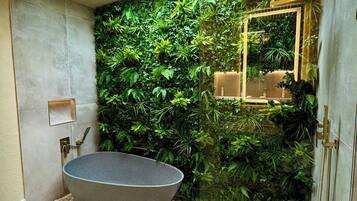 Secadora de cabello, toallas, jabón, shampoo