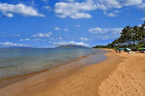 Lägenhet - flera sängar (Wailea Ekahi 43D) | Strand