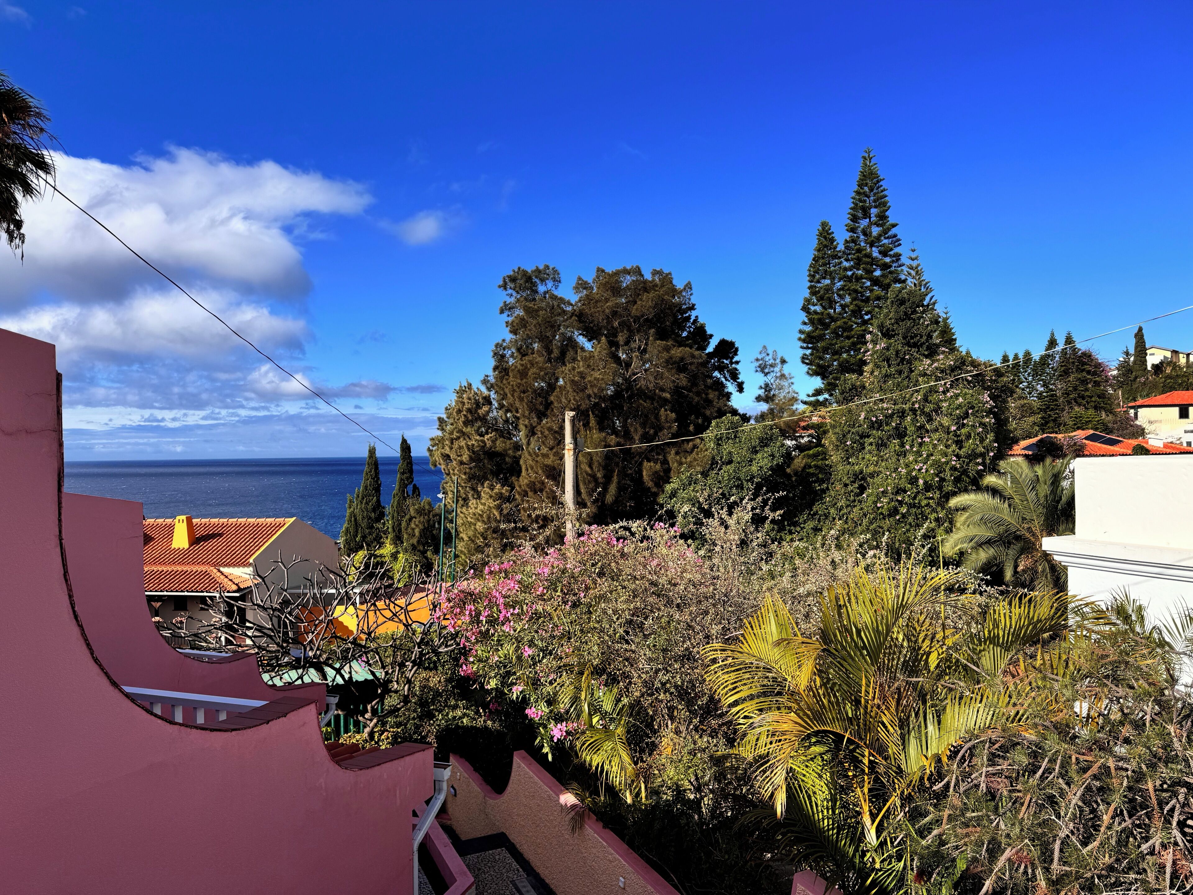 A residential area with a view of the sea, surrounded by trees and vegetation.