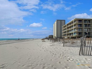 On the beach