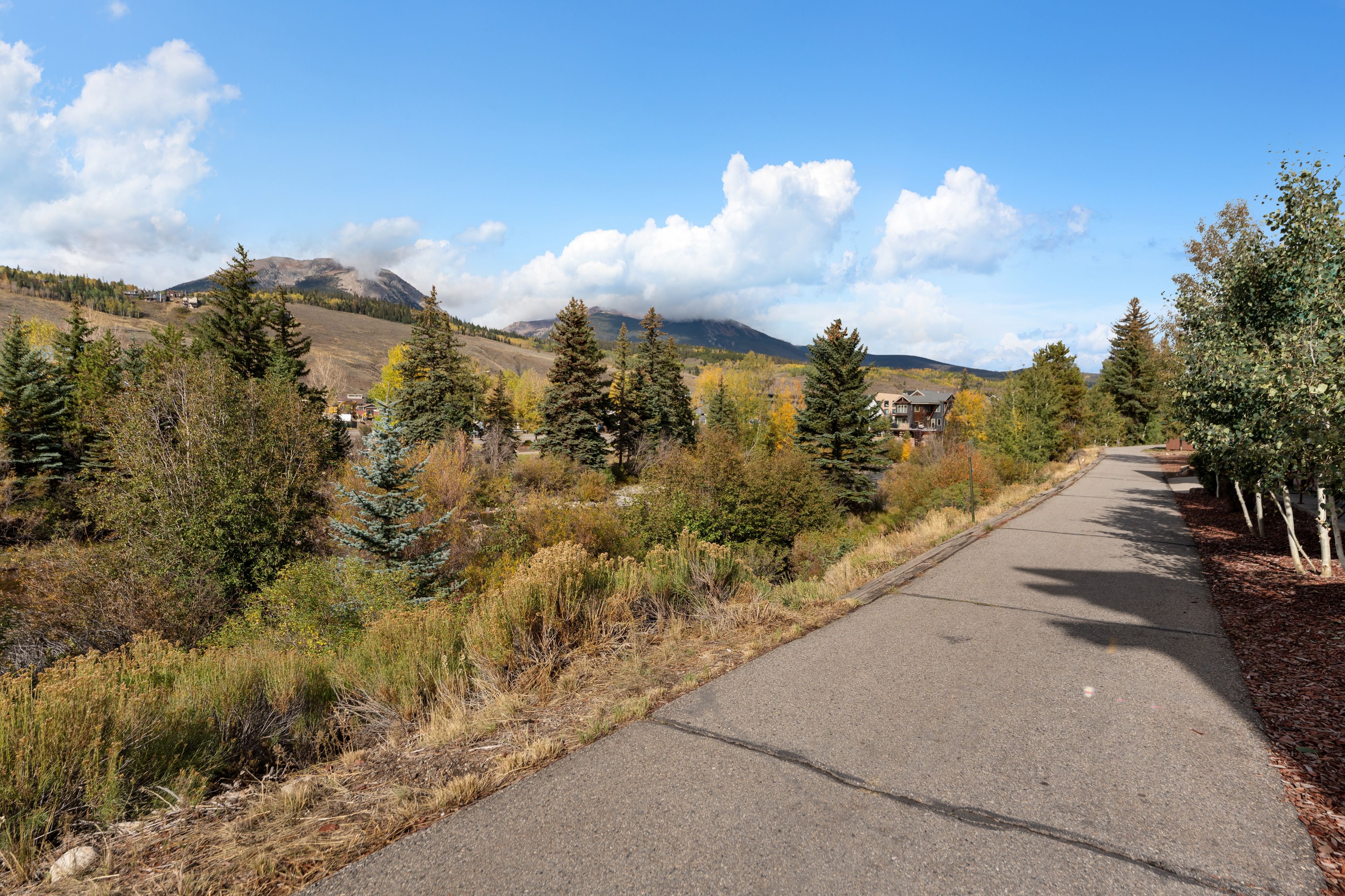 A paved pathway flanked by trees and a mountain in the background.