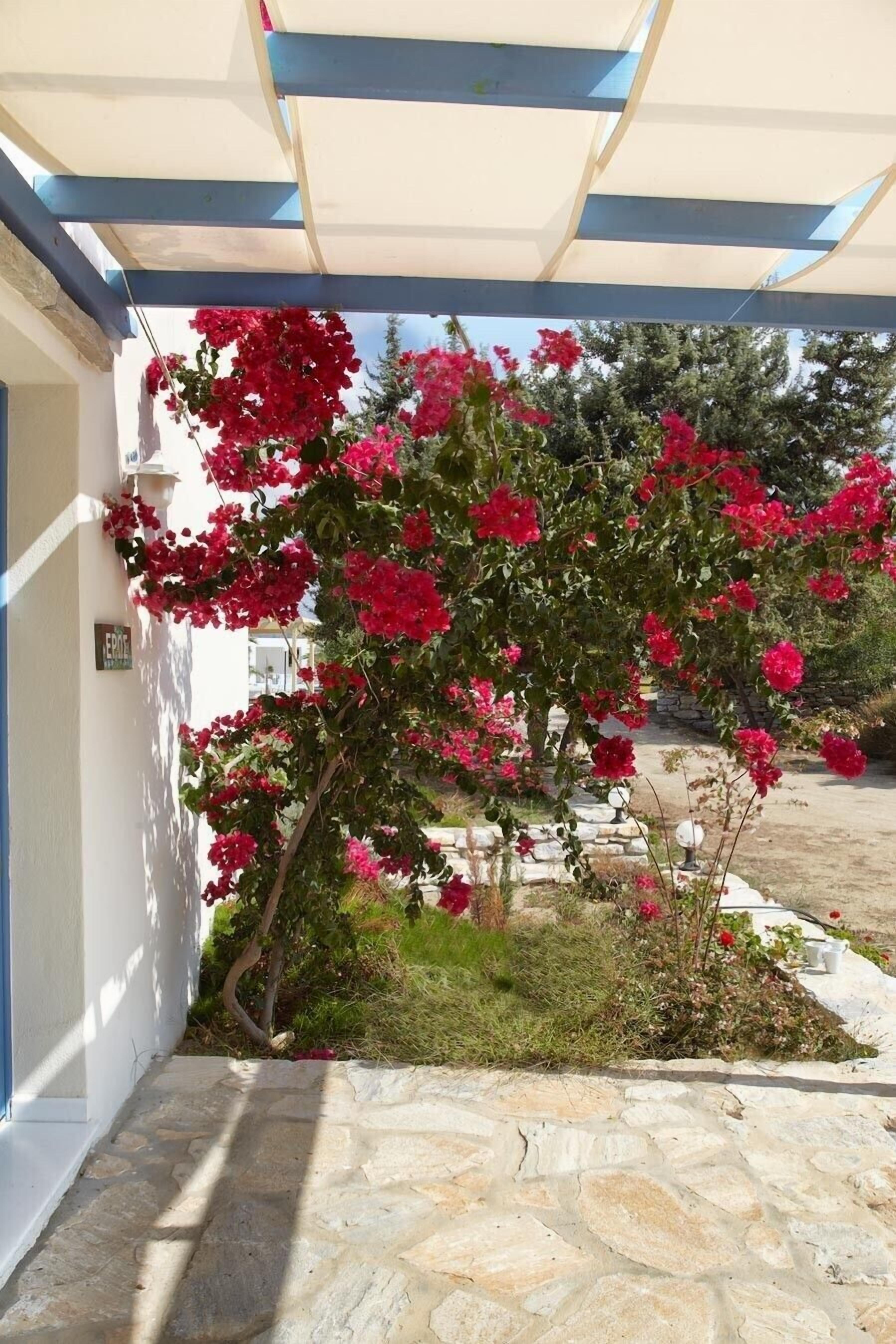 Detalle del exterior