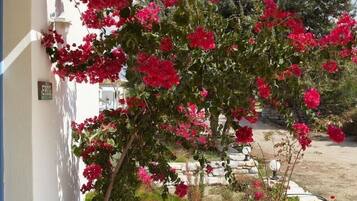 Detalle del exterior