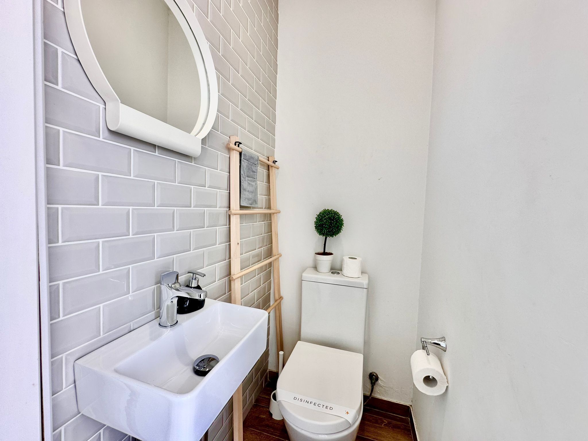 A bathroom with a white sink, a mirror, a toilet, and a small potted plant.
