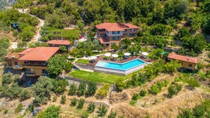 A hillside property with multiple buildings, a swimming pool, and lush greenery.