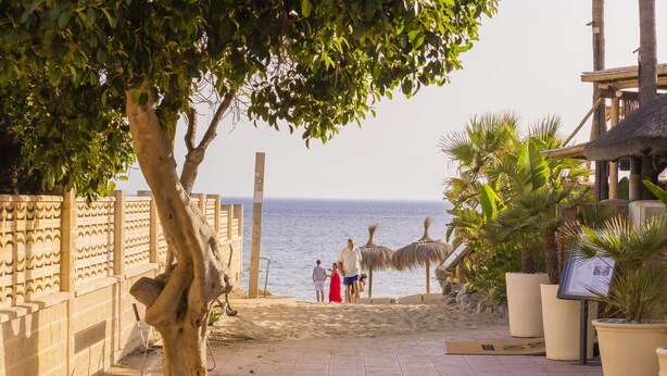 Ein gepflasterter Weg mit einem Baum, einem Zaun und einem Strand im Hintergrund.