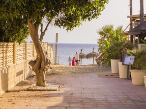 Un chemin pavé bordé d’un arbre, d’une clôture, avec une plage en arrière-plan.