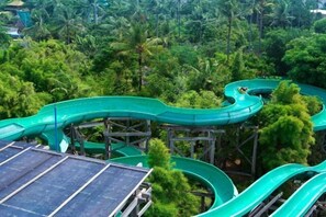 Pool - Serela Kuta by Kagum Hotels (Bali)