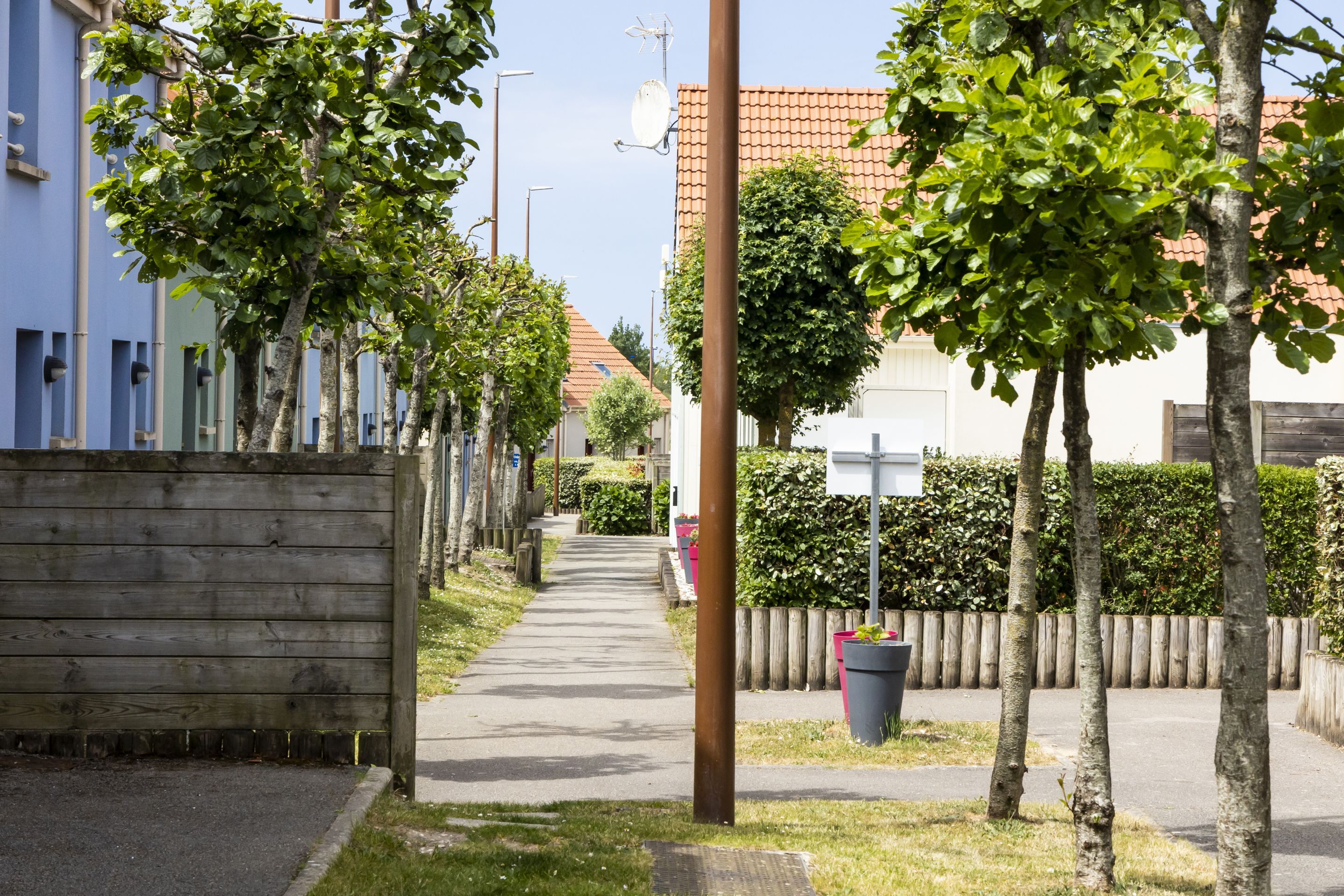 A residential street with houses, a sidewalk, and trees.