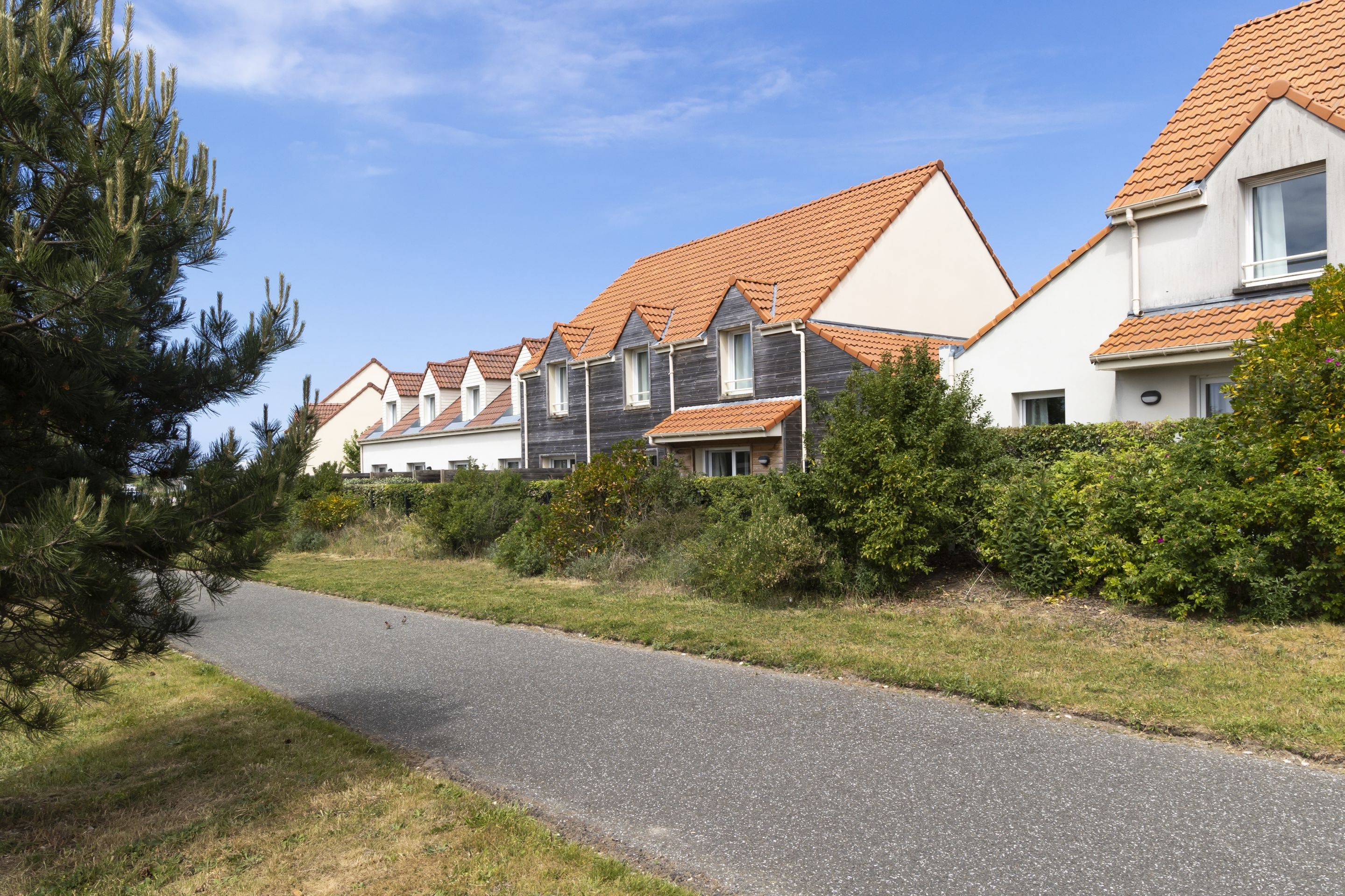 A row of modern houses with sloped roofs and a paved driveway.
