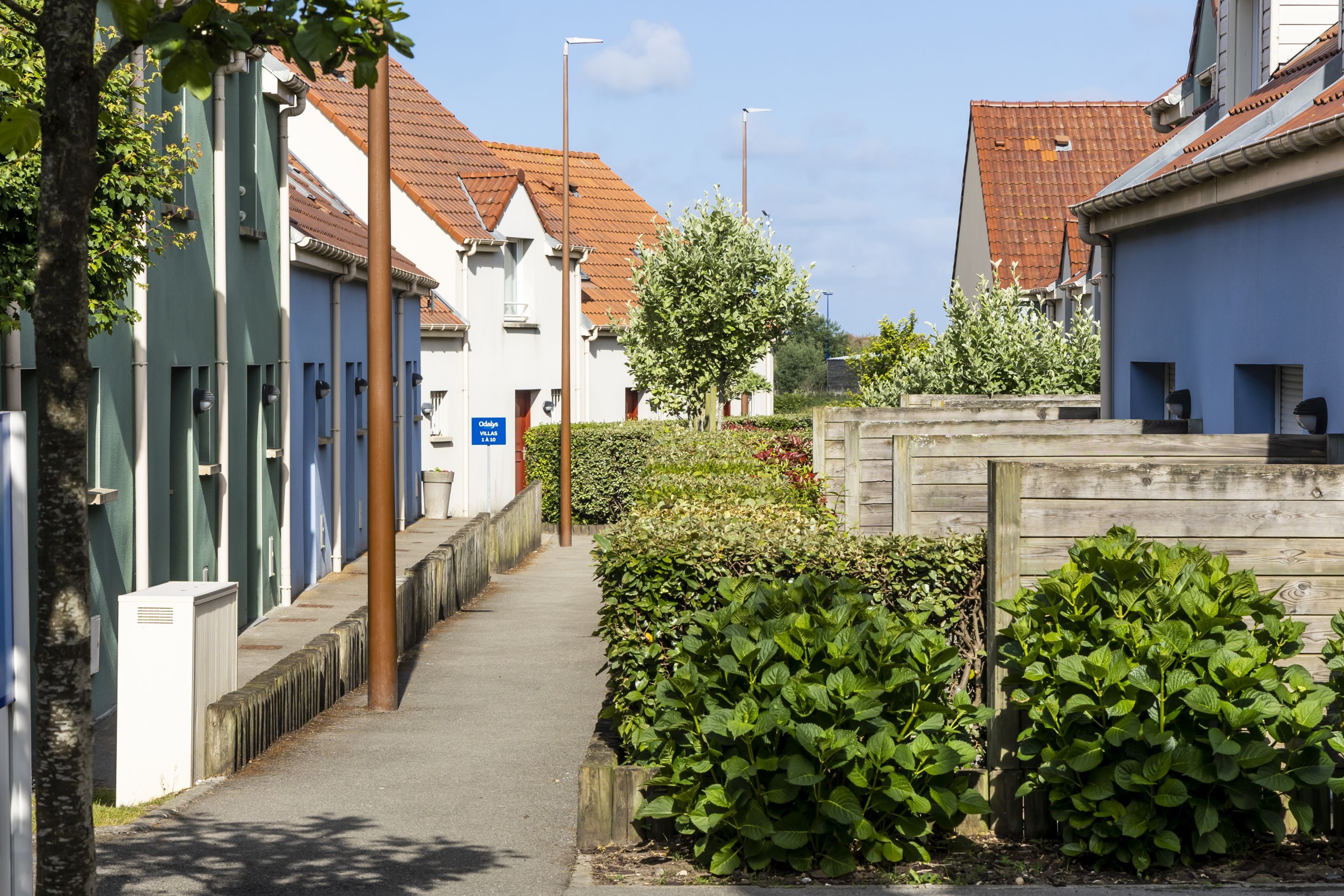 Een smalle straat met woonhuizen, een voetpad en weelderige begroeiing.