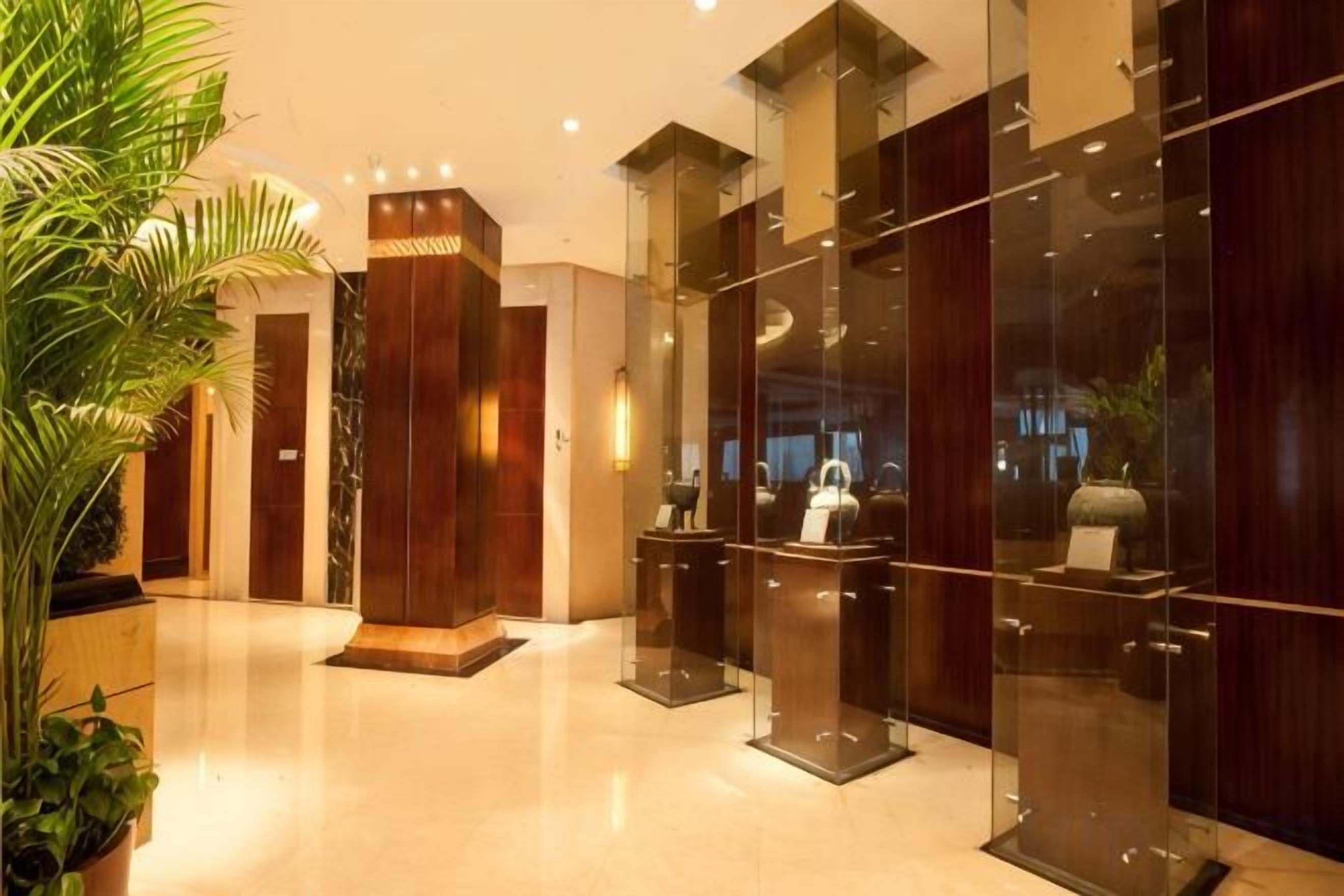 A hotel lobby with a reception desk, glass partitions, and a large potted plant.