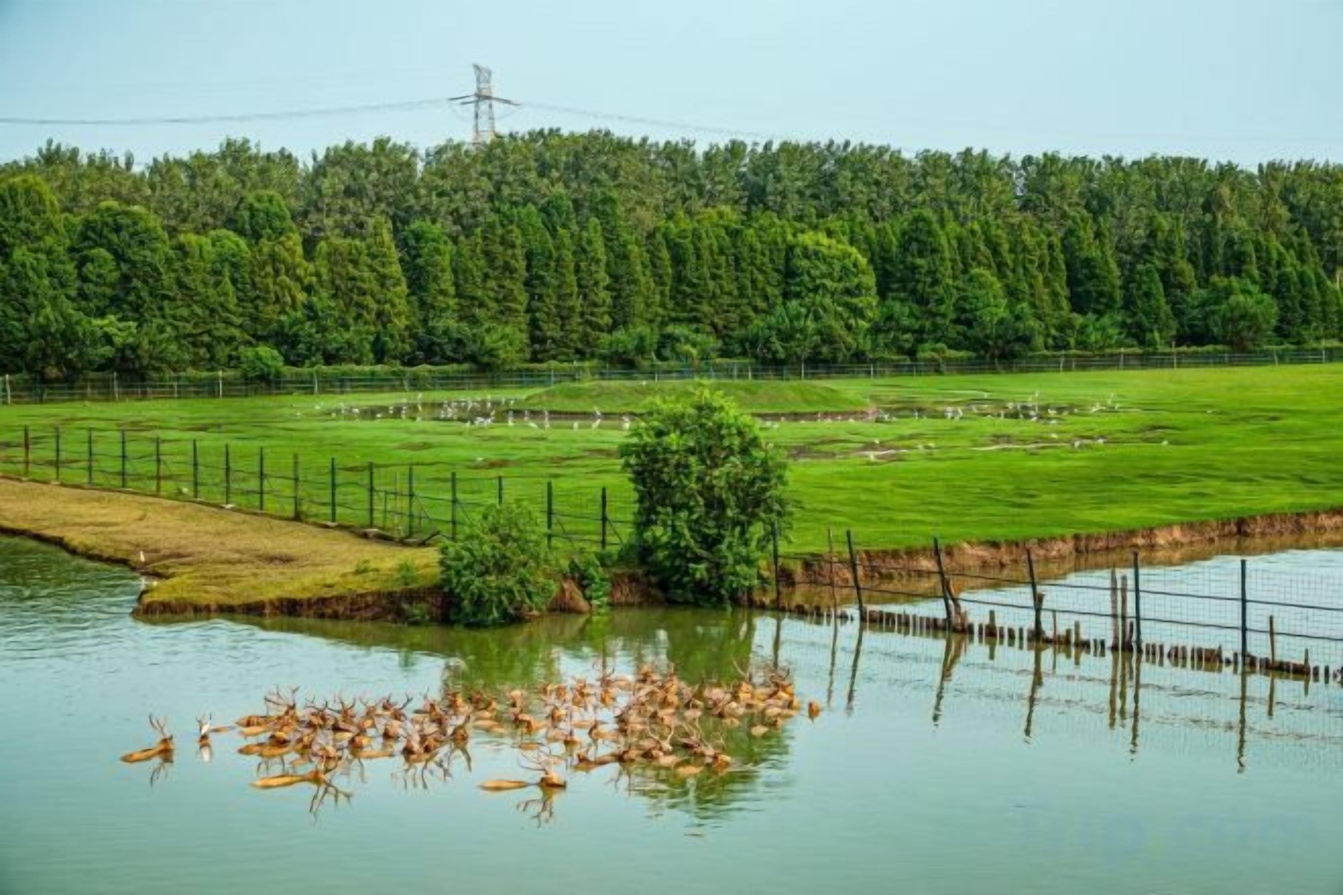 Khác