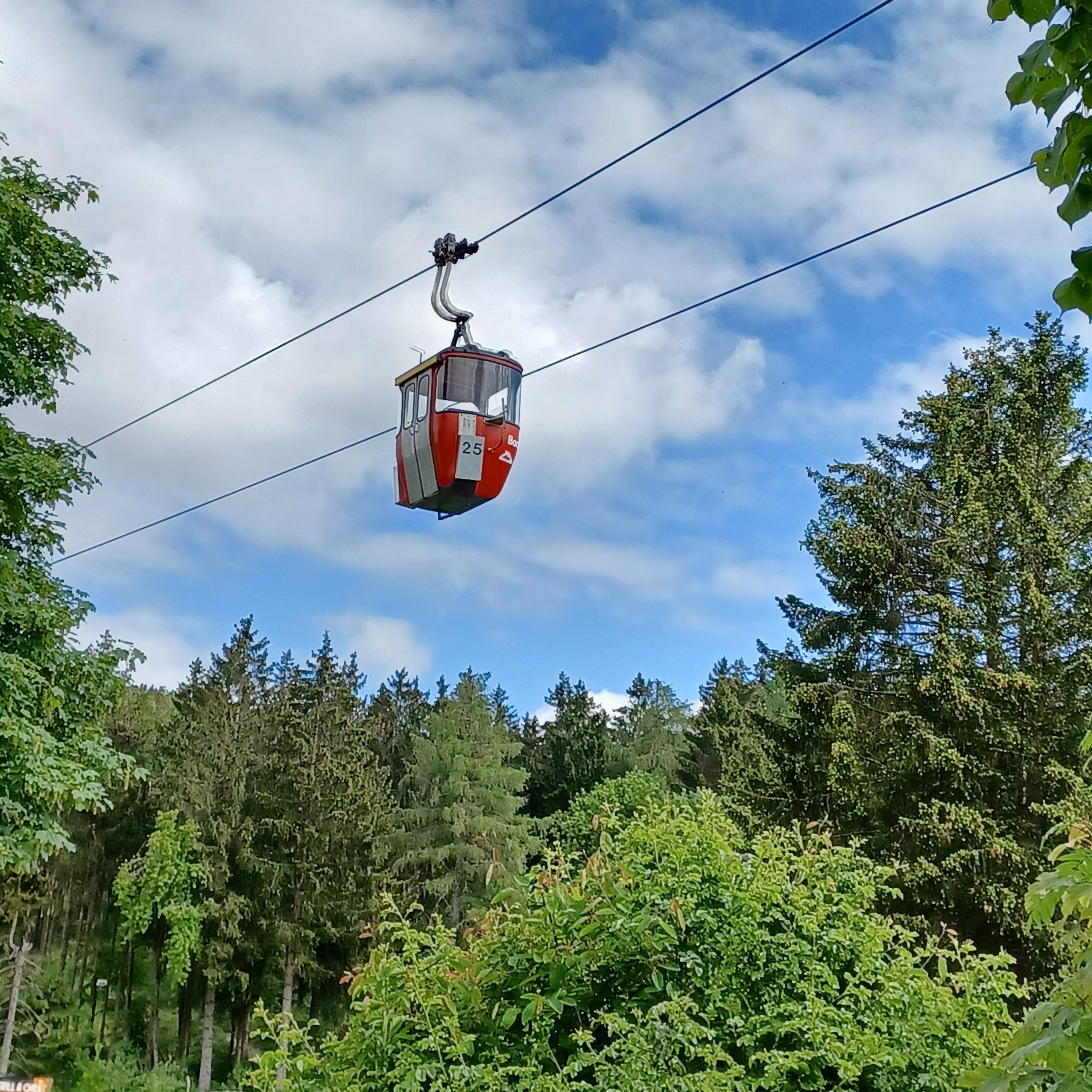 Een kabelbaan hangt tussen twee kabels, omgeven door weelderige groene begroeiing en bomen.