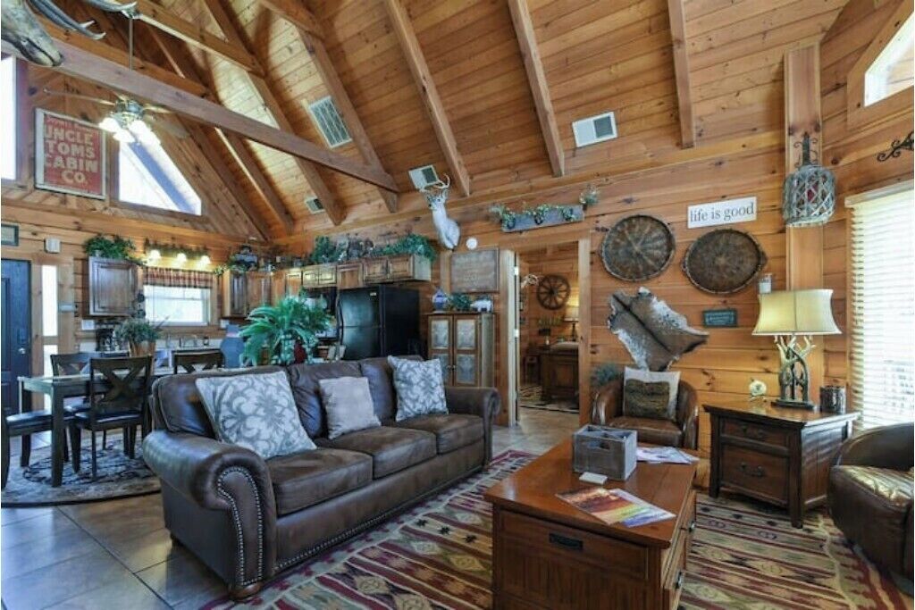 智能电视、壁炉、DVD 播放器、书