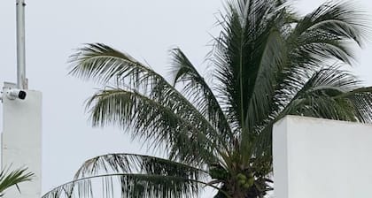 LA CONCHITA DE SISAL 2.