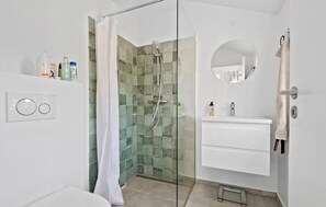 Shower, hair dryer