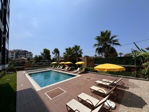 En swimmingpool med solstolar och parasoller, omgiven av palmer och en häck.