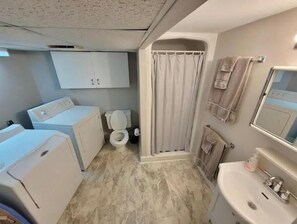 Hair dryer, towels, soap, shampoo - newly renovated basemant apartment in home (Winnipeg)