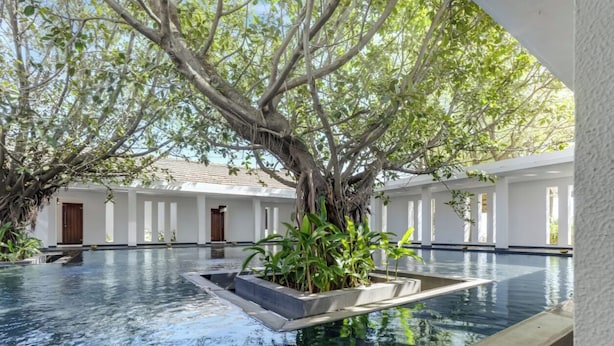 A serene indoor swimming pool with a tree in the center, surrounded by white walls and doors. - Club Mahindra Resort - Tungi (Ootacamund)