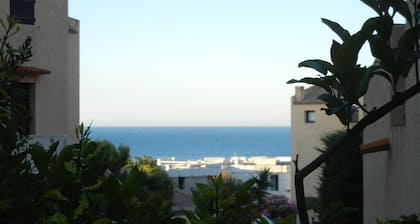 Petit Prix Pour T2 Spacieux et Lumineux vue mer Avec Jardin, Animaux Bienvenue