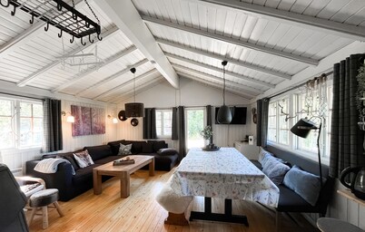 Cozy home in Vinje with WiFi
