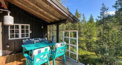 Cozy home in Vinje with WiFi