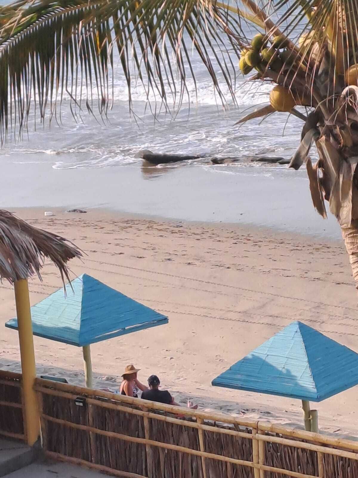 A beach with two blue umbrellas, a palm tree, and a person sitting on the sand.