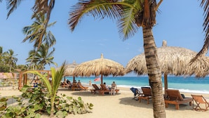 Une plage bordée de palmiers, dotée de parasols en chaume et de chaises longues en bois.